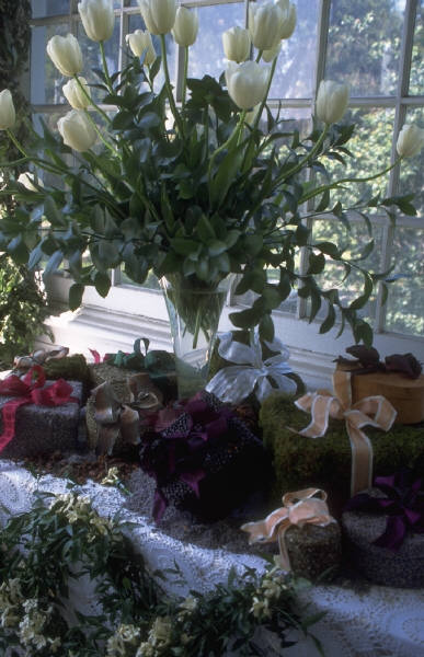 �G�b�Z���V�����I�C�����g���O��